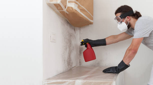 Professional Hvac And Air Duct Mold Remediation technician working in Grawn, MI